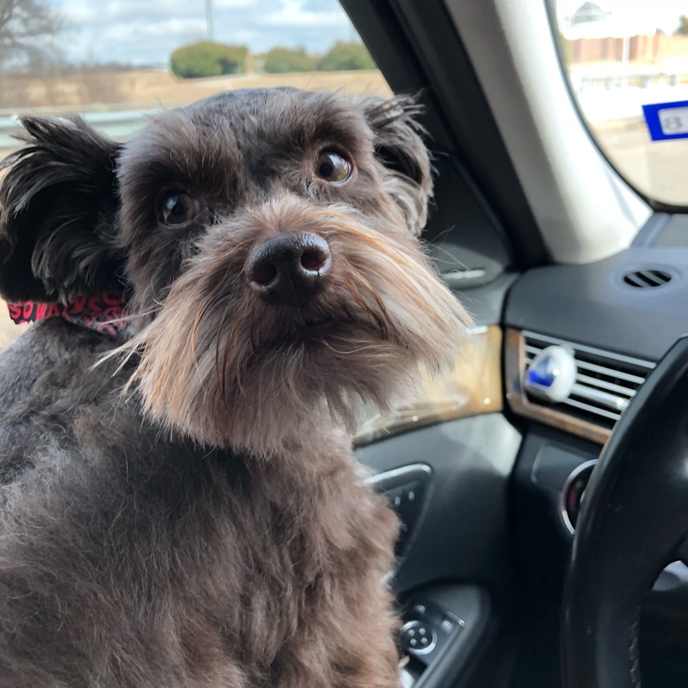 Meet your Posher, Fred